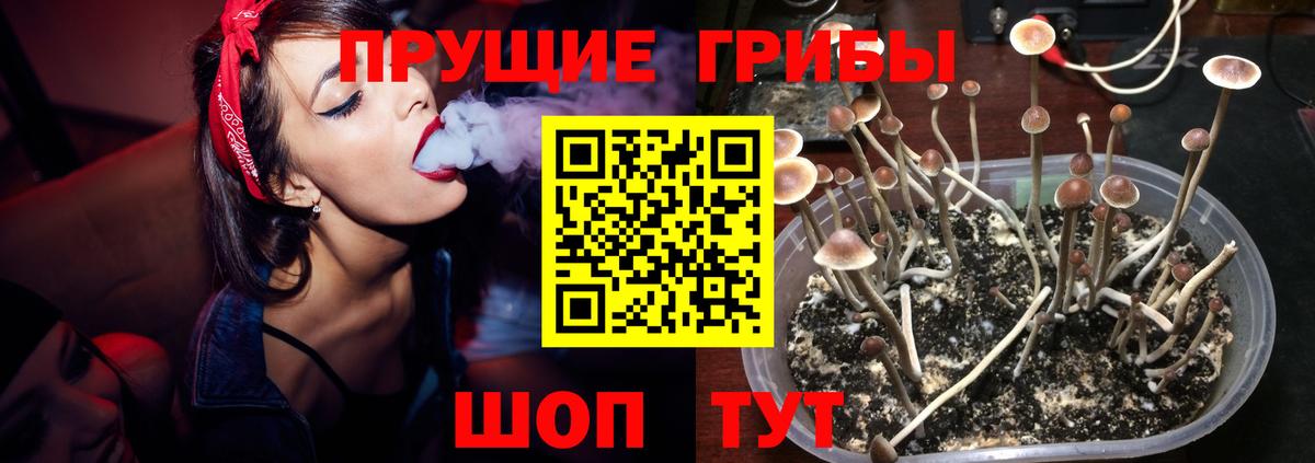 МЕФ Нерюнгри