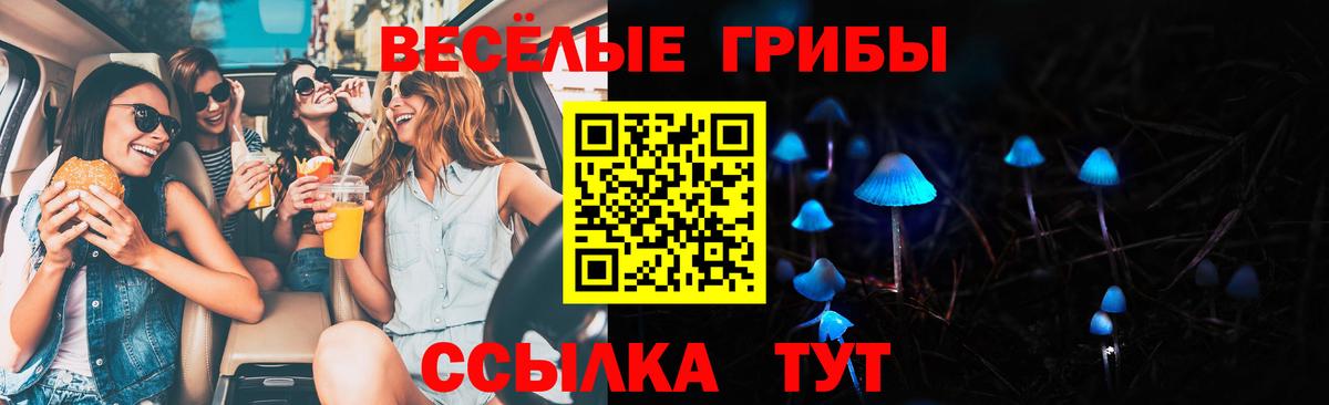 Псилоцибиновые грибы Psilocybine cubensis Нерюнгри