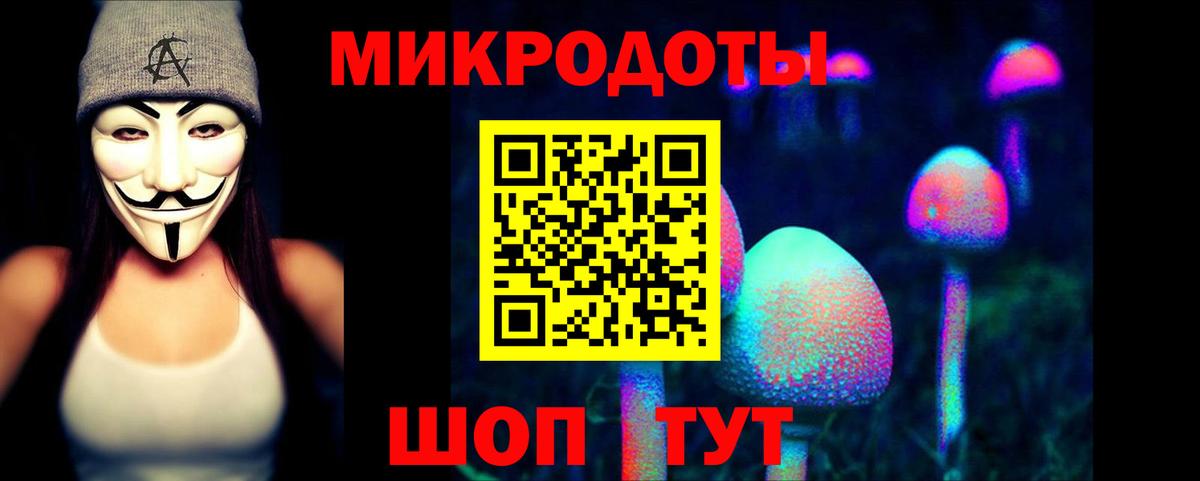 Псилоцибиновые грибы Magic Shrooms  Вход с VPN  купить наркотик  Нерюнгри 